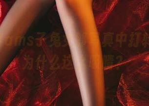 随意在Vams子兔女郎写真中打转，图包为什么这么吸睛？