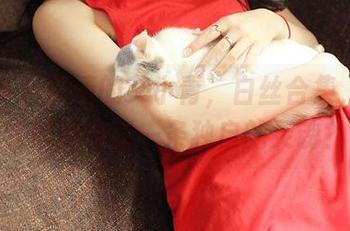 推女神 – 高清的艾小青，白丝合集，听说它能治愈每一条独自的灵魂？
