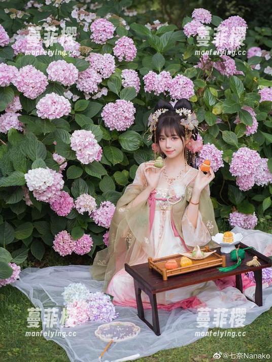 贰加六 贰加六的厨娘全集——下载你的厨房女神!